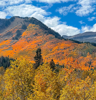 Mountain hillside covered with colorful autumnal trees.
